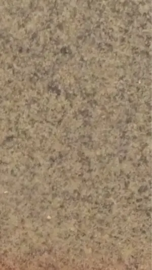 image-873257589.webp