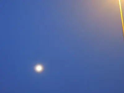 image-1366767013.webp