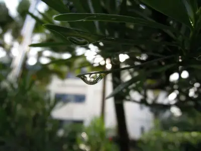 image-4103803182.webp