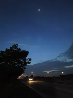 image-2651473671.webp