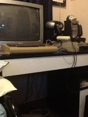 image-3363232385.webp