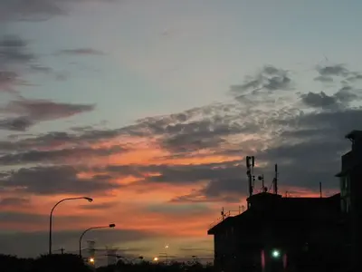 image-228501429.webp