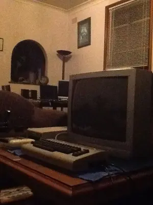 image-3206480562.webp