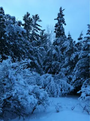 image-52391182.webp