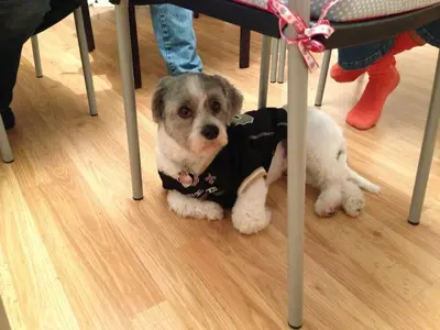 image-779205000.webp