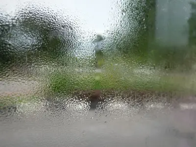 image-254917458.webp
