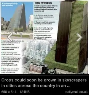 image-2805873145.webp