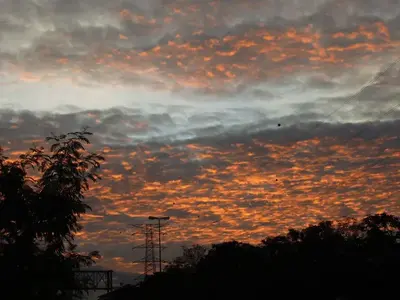image-3168690791.webp