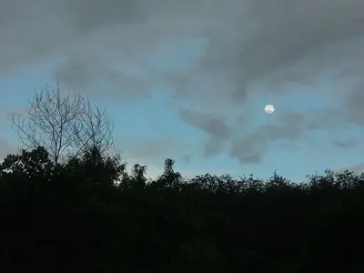 image-952687583.webp
