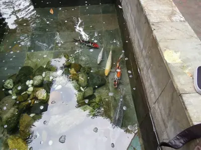 image-718809750.webp