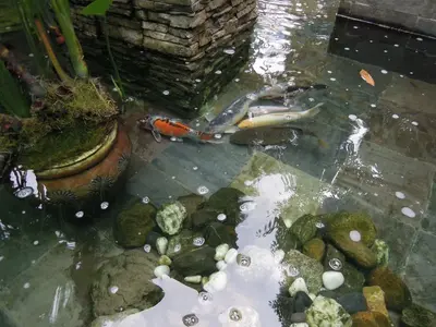 image-3899627258.webp