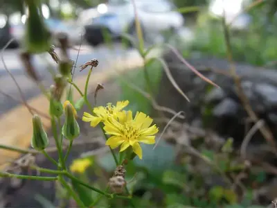 image-782063265.webp