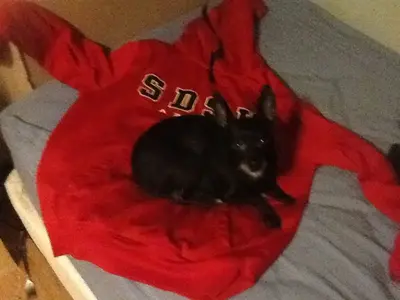 image-892471873.webp