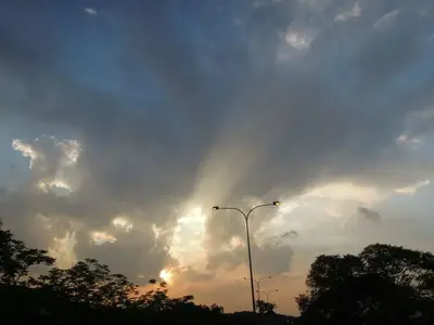 image-2594318972.webp
