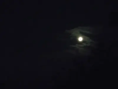 image-3795625670.webp