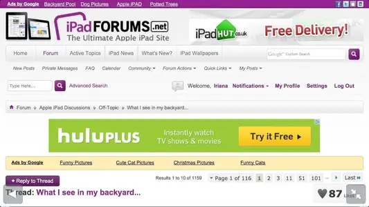 image.webp