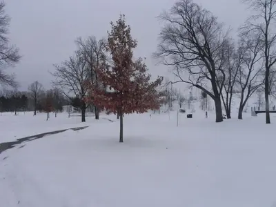 image-986169006.webp image-986169006.webp