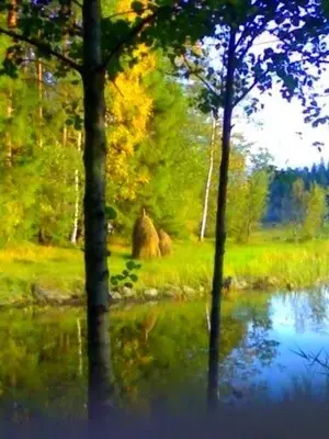 image.webp image.webp