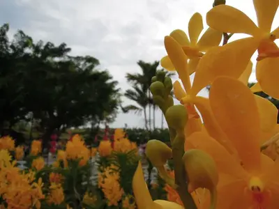 image-1286574713.webp