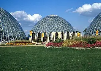 image-4028742057.webp
