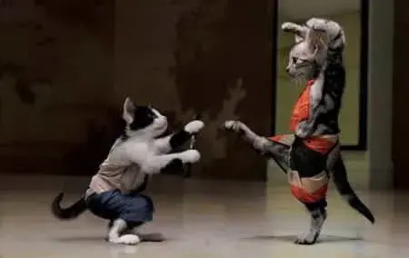 image-1905542468.webp