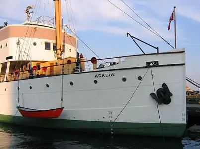 image-2593305173.webp