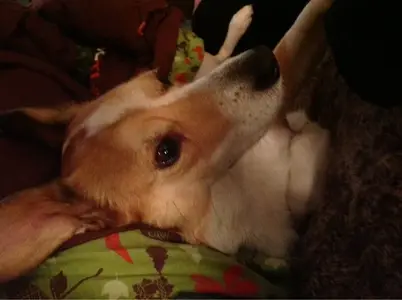 image-1221016512.webp
