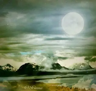 image.webp