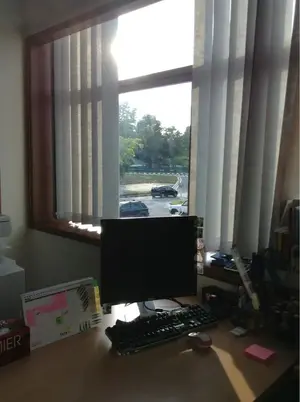 image-3946525901.webp