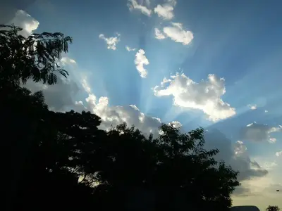 image-511993190.webp