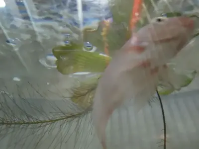 image-1568211166.webp