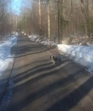 image-4086926119.webp