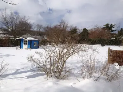 image-1483612937.webp