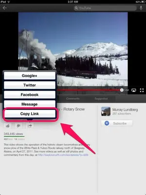 image-3164796490.webp