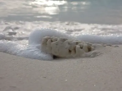 image.webp