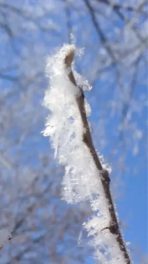 image-3756803851.webp