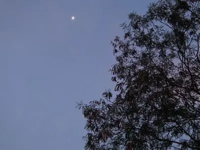 image-3536506613.webp