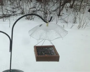 image-824175607.webp