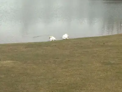 image-4062246680.webp