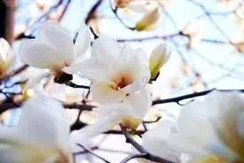 image-843168005.webp