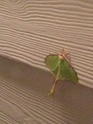 image-3631892980.webp