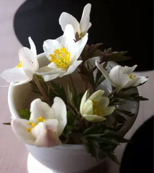 image-2934815054.webp