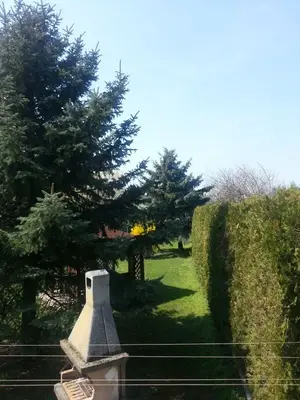 image-1353012999.webp