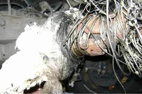 image-940202867.webp image-940202867.webp