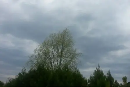 image-65147566.webp