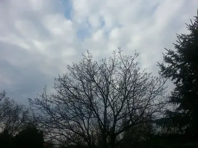 image-3685083493.webp