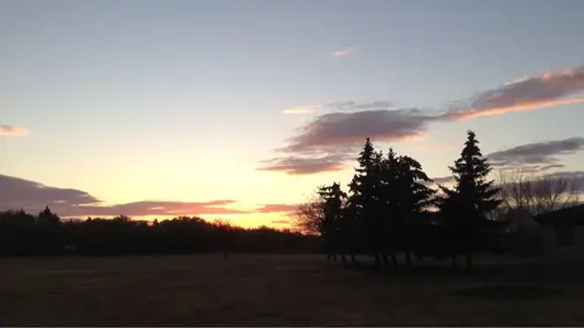 image-1264045274.webp