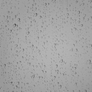 Rain.jpg
