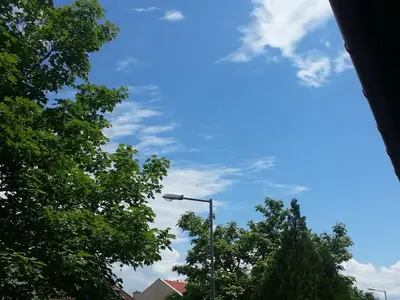 image-4251695166.webp