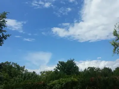 image-1642994203.webp